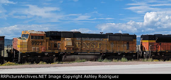 BNSF 9923